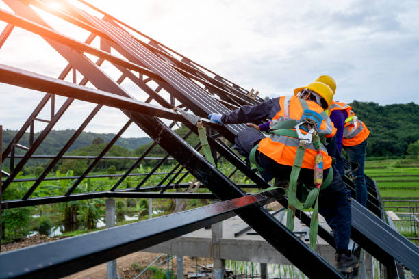 Best Roof Gutter Cleaning  in Masonville, KY