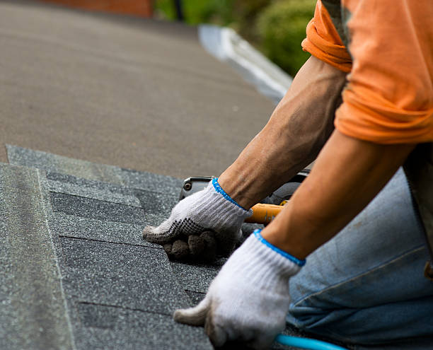 Best Gutter Installation and Roofing  in Masonville, KY